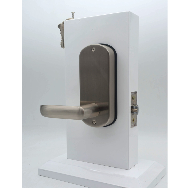 Высококачественный цифровой дв – обзор и цена Door Handle