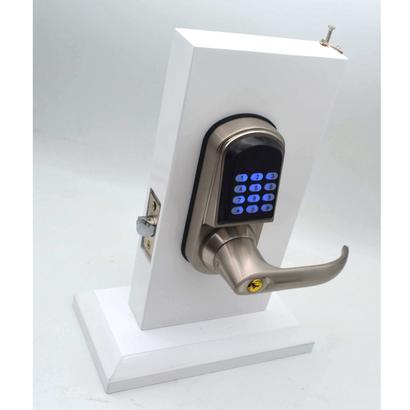 Высококачественный цифровой дв – обзор и цена Door Handle