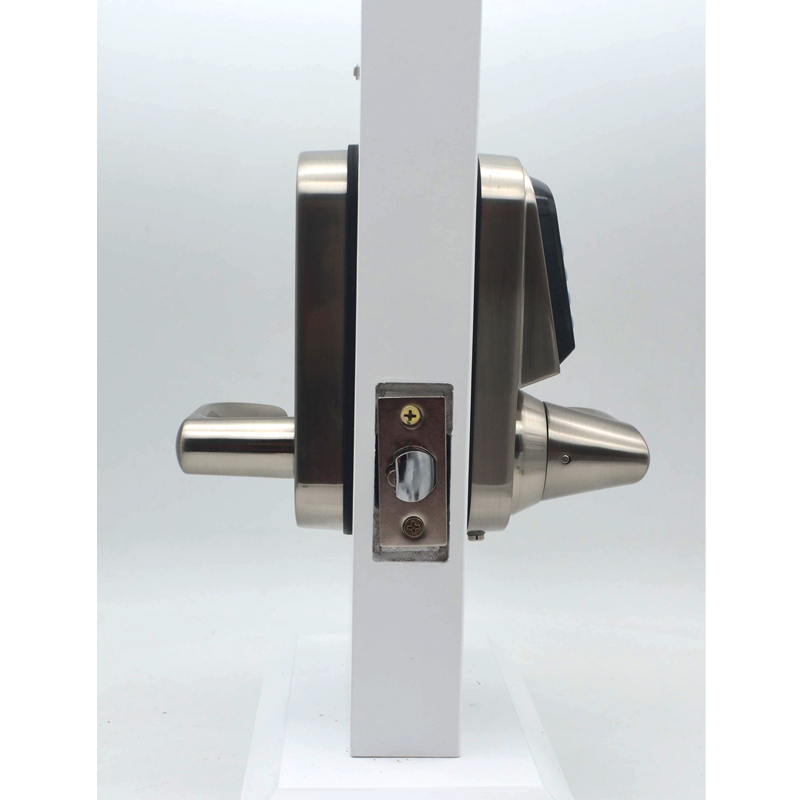 Высококачественный цифровой дв – обзор и цена Door Handle